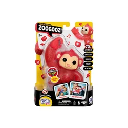 DEXY CO ZOOGOOZ LJUBIMAC