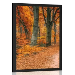 Plakat jesenski gozd - 60x90 silver