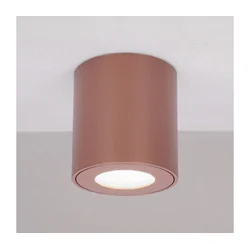 Brilagi - Kupatilska spot svetiljka MIA 1xGU10/30W/230V 84x80 mm braon IP54