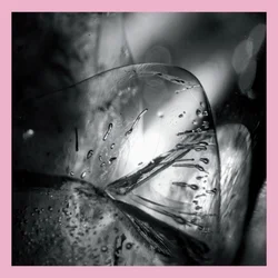 Loscil - Clara (2 LP)