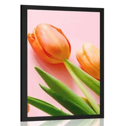 Plakat tulipan - 60x90 no frame