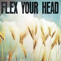 Various Artists - Flex Your Head (Reissue) (Coloured) (LP)