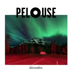 Pelouse - Découdre (LP)