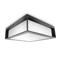 PH066 Philips spoljašnja zidna - plafonska svetiljka Skies max 2x42W 230V antracit