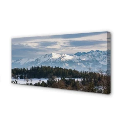 tulup.si Slika na platnu Mountain pozimi 100x50 cm