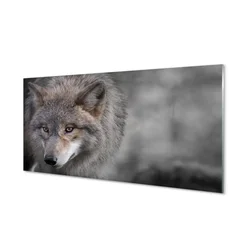 tulup.si Steklena slika Wolf 140x70 cm 4 obešalnika