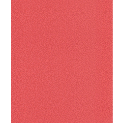 RASCH Tapeta 857719