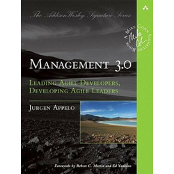 Management 3.0