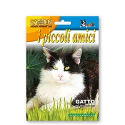 Seme Mačja meta Nepeta Cataria