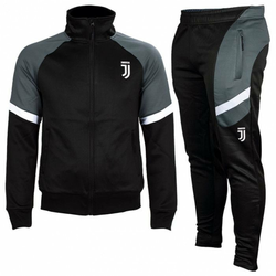 Juventus FC N°9 trenirka, L