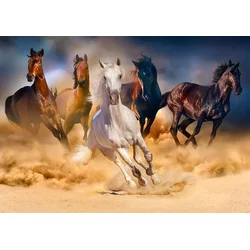 Enjoy - Puzzle Horses Running in the Desert - 1 000 kosov