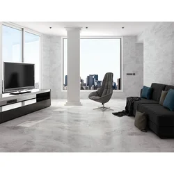 CHRONO GREY 31,6x60,8