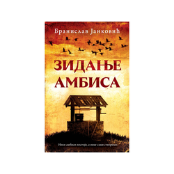 Zidanje ambisa - Branislav Janković