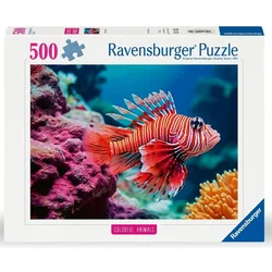 shumee Uganka 500 rib