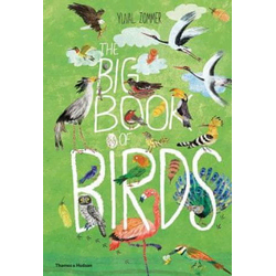 Big Book of Birds