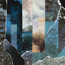 Cremation Lily - Dreams Drenched In Static (Limited Edition) (LP)