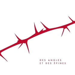 Cabadzi - Des Angles Et Des Épines (Box Set) (2 LP)