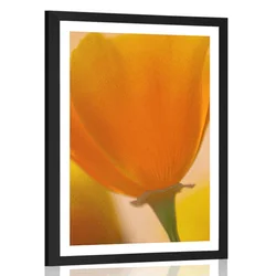 Plakat s paspartujem šopek cvetov v prvem planu - 20x30 silver