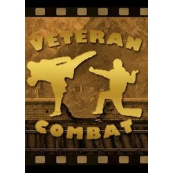 Veteran Combat Steam Key GLOBAL