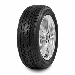 Davanti Zimska guma 155/65R14 75T Wintoura 008195