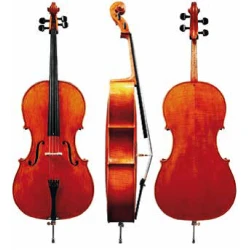 Koncertni violončelo Georg Walther – različni modeli