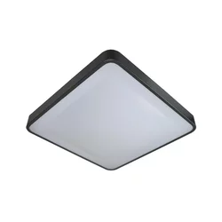 LED plafonsko svetlo sa senzorom WILTON LED/24W/230V antracit