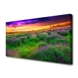 tulup.si Slika na platnu Travnik narava 140x70 cm
