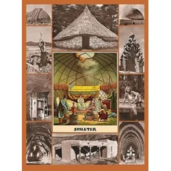 Shelter