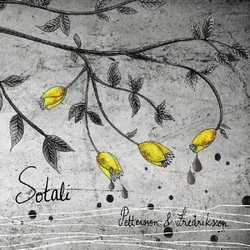 Pettersson Sotali (LP)