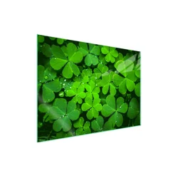 shumee Steklena zaščitna plošča za štedilnik 70x52 Leaf