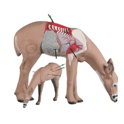 Rinehart Target 3D Anatomy Deer