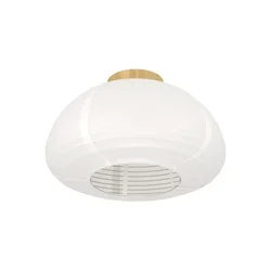Eglo 44063 - Plafonsko svetlo SUMMERHILL 1xE27/40W/230V O 40 cm bela/bež