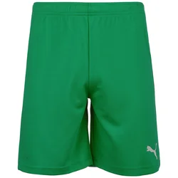 Puma Teamrise Short