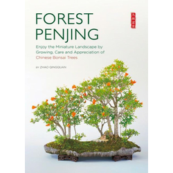 Forest Penjing