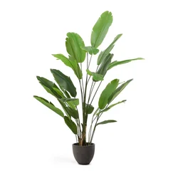 Umeten bananovec (višina 210 cm) – Kave Home