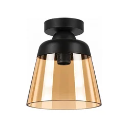 BRILAGI-LED Stropna svetiljka R GLASS 1xE27/60W/230V prečnik 15,5 cm crna/dimljeno bež