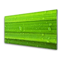 tulup.si Slika na steklu Grass nature rastlin 120x60 cm 4 obešalnika
