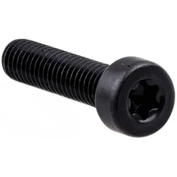 Vijak K960 (notranji Torx vtičnica M 6 x 25