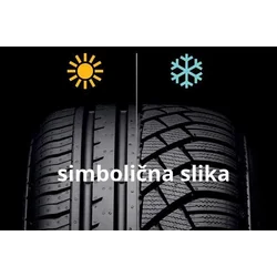 Sebring Snow ( 205/45 R17 88V XL )