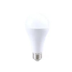 Rabalux LED sijalica 79117 SMD-LED