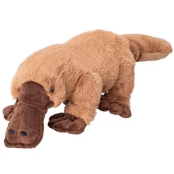 Plišasti kljunaš 45cm