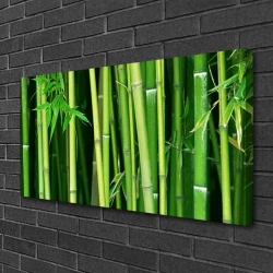 tulup.si Slika na platnu Bamboo bamboo forest narava 100x50 cm