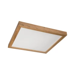 Brilagi - LED kupatilsko svetlo WOODY FRAME LED/40W/230V 60x60 cm IP44 hrast