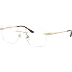 Ray-Ban RX8783D 1251