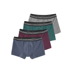 Authentic Le Jogger Spodnjice modra/siva/temno zelena/temno rdeča