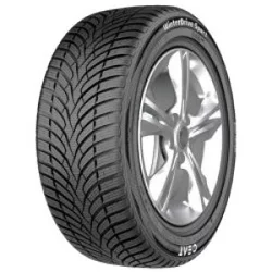 Ceat WinterDrive Sport ( 245/45 R18 100V XL )