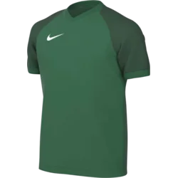 Nike Dres Dri-FIT Trophy VI Kids