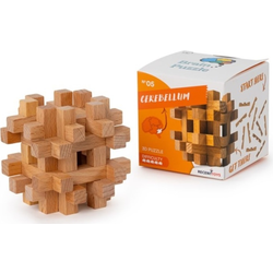 RECENTTOYS Brain Puzzle 1 - možgani