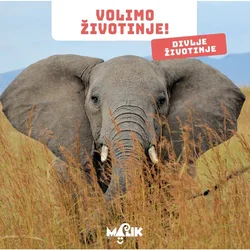Divlje životinje – volimo životinje