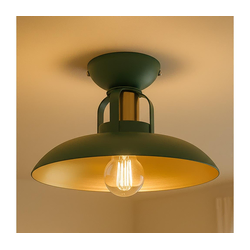Brilagi - LED Plafonski luster FLAMENGO 1xE27/60W/230V, zelene boje